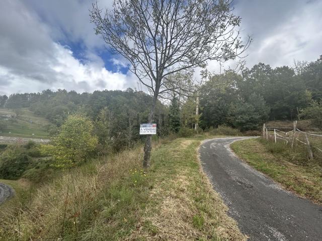 Terrain vente à Prats-de-Mollo-la-Preste, Pyrénées-Orientales