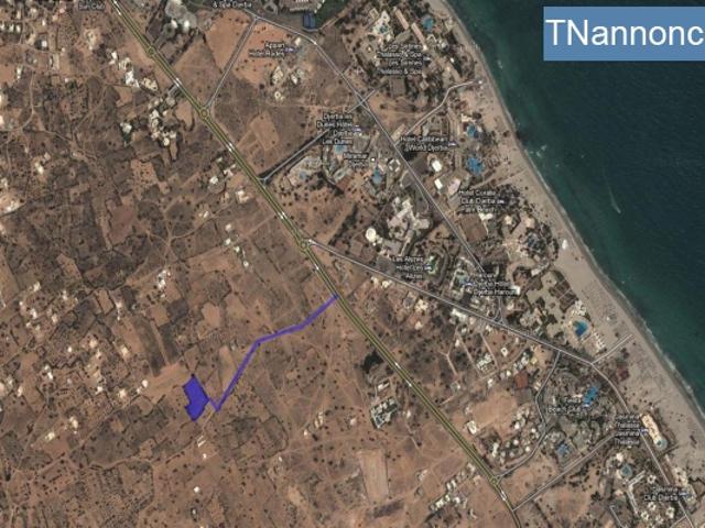 Terrain location