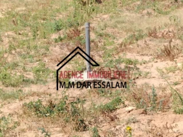 Terrain location à Beni Khalled