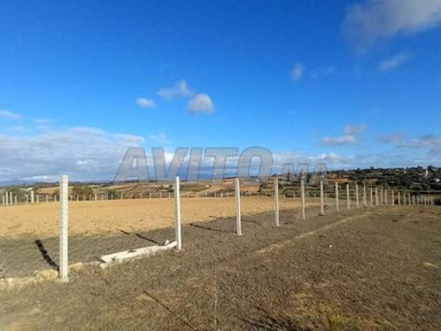 Propriété vente à Asilah, Tanger-Tétouan