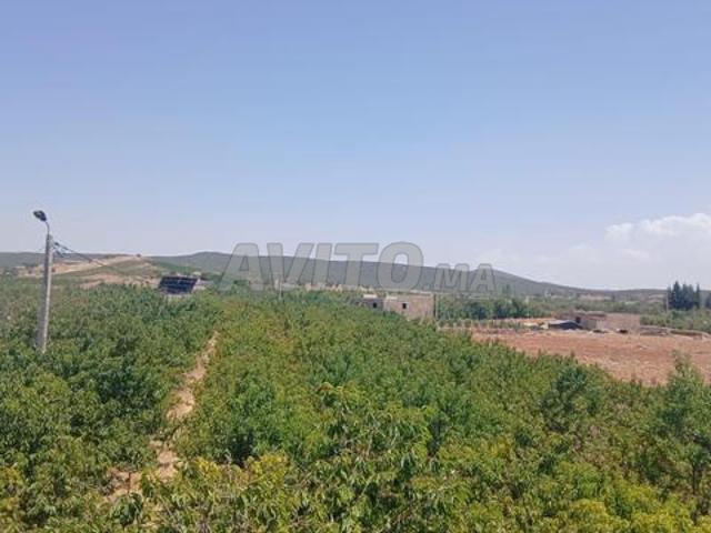 Propriété vente à Imouzzer Des Ida Ou Tanane, Oued ed Dahab-Lagouira