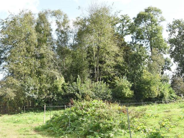 Terrain vente à Prétot-Vicquemare, Seine-Maritime