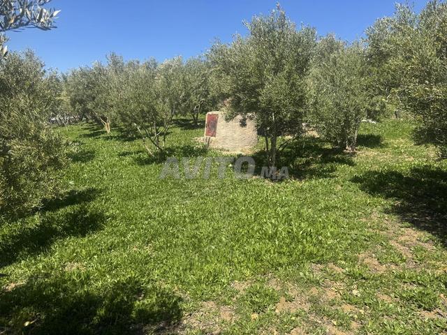 Propriété vente à Tétouan, Tanger-Tétouan