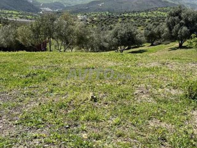 Propriété vente à Tétouan, Tanger-Tétouan