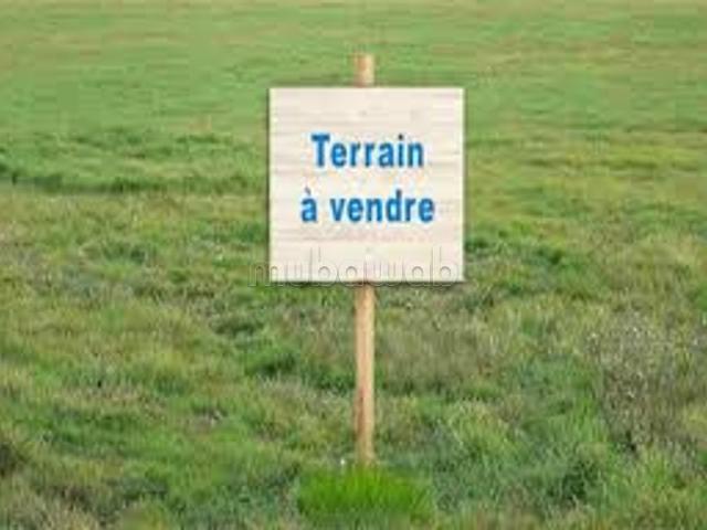 Terrain vente à Ben Slimane
