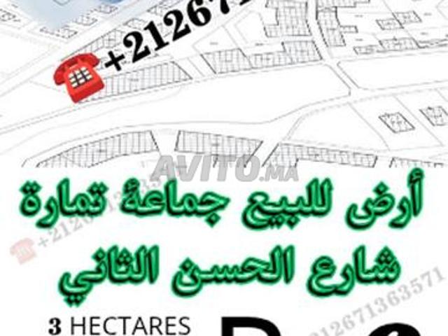 Propriété vente à Témara
