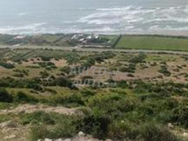 Propriété vente à Essaouira, L'Oriental