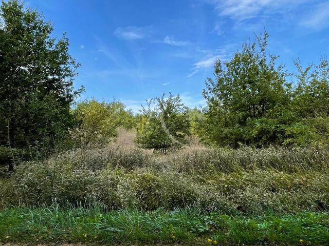 Terrain vente à La Miltière, Pruniers-en-Sologne