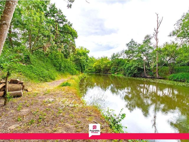 Terrain vente à Pruniers-en-Sologne, Loir-et-Cher
