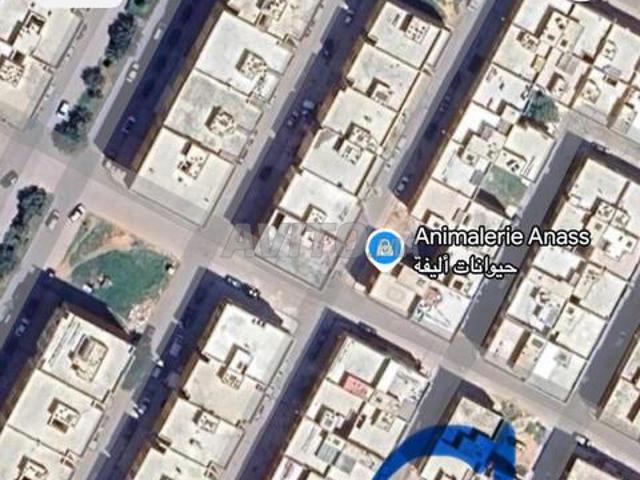 Propriété vente à Meknès
