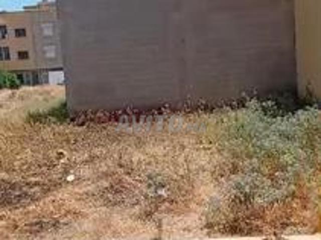 Propriété vente à Mellal