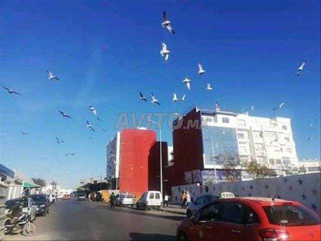 Propriété vente à Agadir, Sous-Massa-Drâa