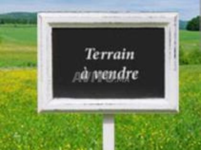 Propriété vente à Madagh