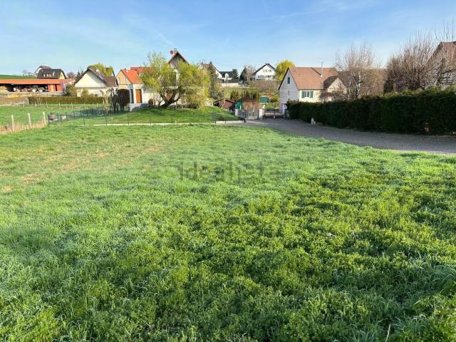 Terrain vente à Rantzwiller, Collectivité européenne d'Alsace