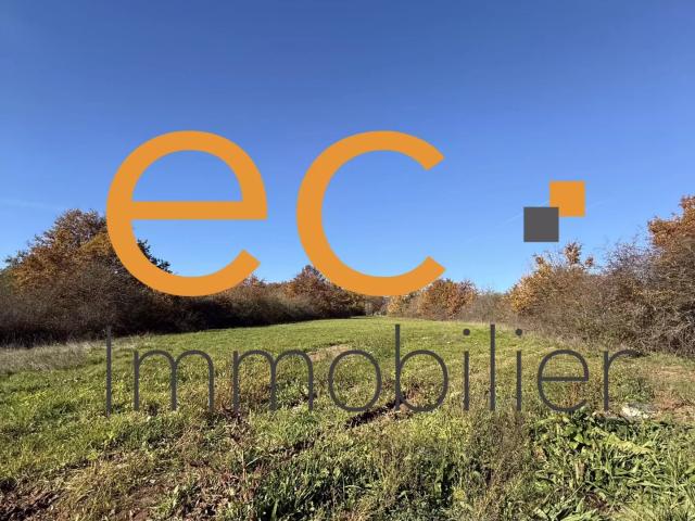 Terrain vente à Leimbach, Collectivité européenne d'Alsace