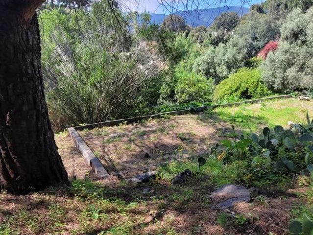 Terrain vente à Arrondissement de Draguignan, Rayol-canadel-sur-mer