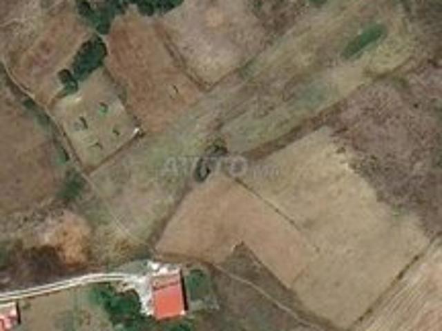 Propriété vente à El Fahs, Tanger-Tétouan