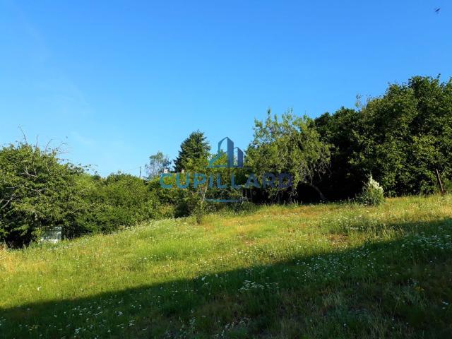 Terrain vente à Les Étangs, Renaison