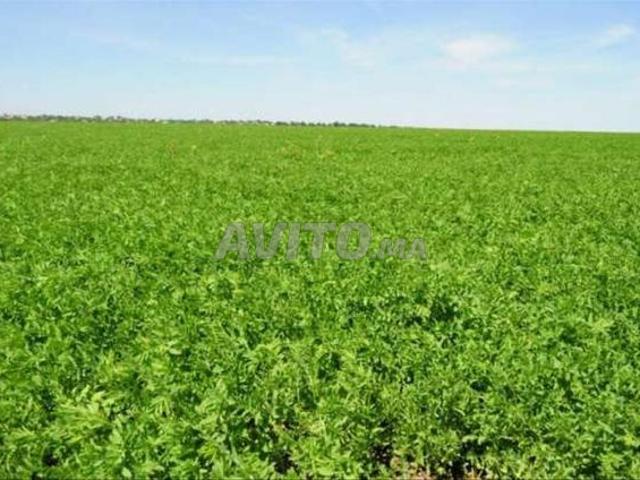 Propriété vente à El Ma, Gharb-Chrarda-Beni Hssen