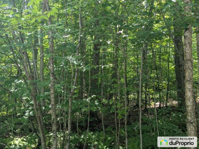 Land for sale in Austin Land for sale in Austin