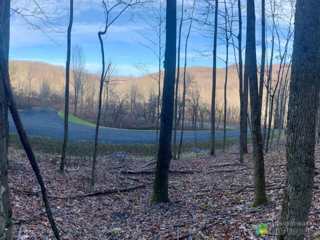 Land for sale in Bromont