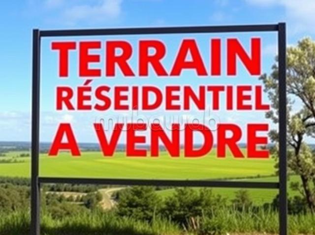 Terrain vente