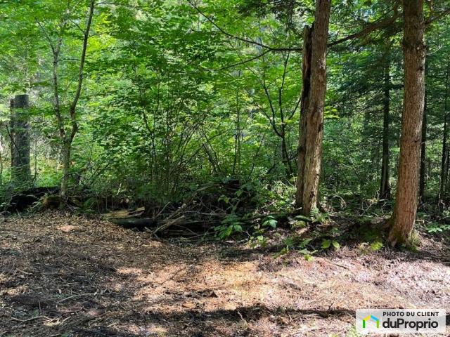 Land for sale in Orford Land for sale in Orford