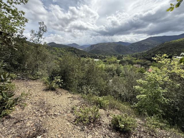 Terrain vente à Reynès, Pyrénées-Orientales