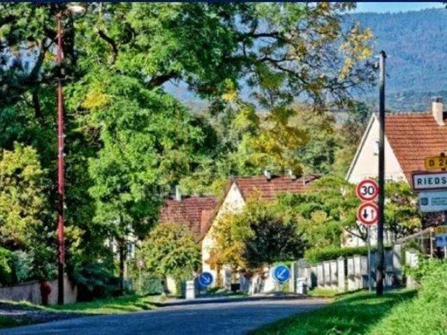Terrain vente à Riedseltz, Collectivité européenne d'Alsace
