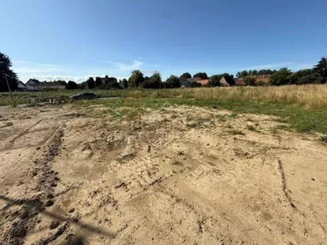 Terrain vente à Roppenheim, Collectivité européenne d'Alsace