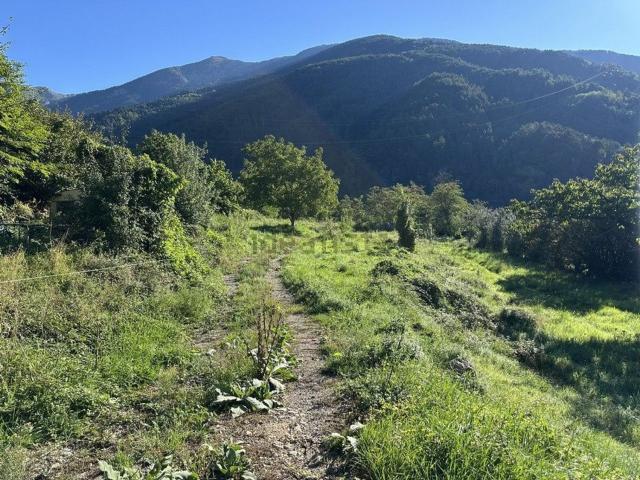 Terrain vente à Roquebillière, Alpes-Maritimes