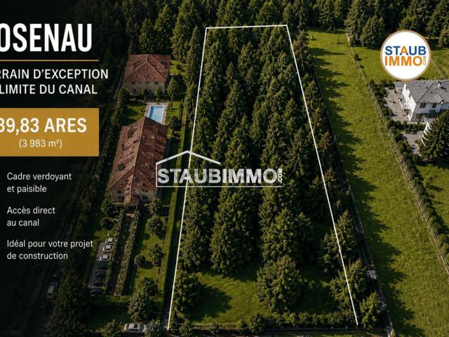 Terrain vente à Rosenau, Collectivité européenne d'Alsace