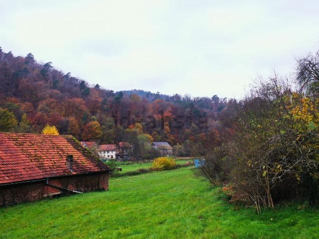 Terrain vente à Rothbach, Collectivité européenne d'Alsace