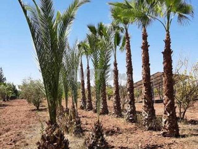 Propriété vente à Fès