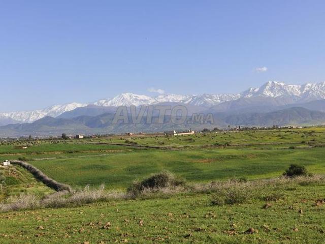 Propriété vente à Al Haouz, L'Oriental