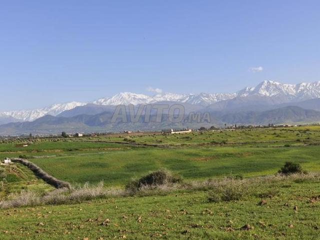 Propriété vente à Al Haouz, L'Oriental