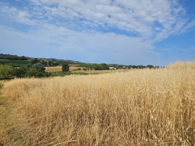 Terrain vente à Limoux, Routier