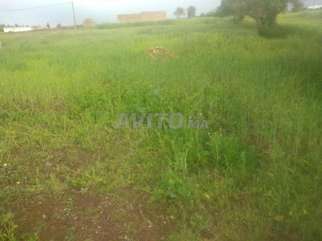 Propriété vente à El Ma, Gharb-Chrarda-Beni Hssen