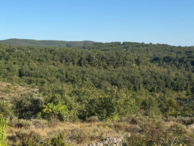 Terrain vente à Ruoms, Ardèche