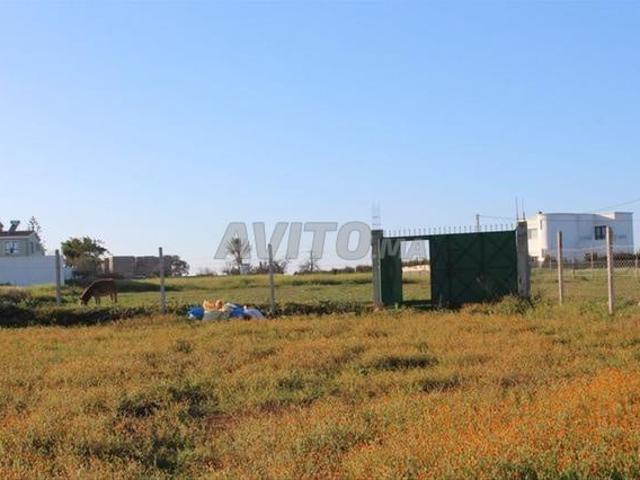 Propriété vente à El Ma, Gharb-Chrarda-Beni Hssen