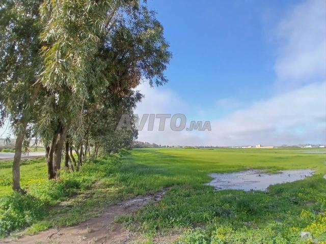 Propriété vente à El Ma, Gharb-Chrarda-Beni Hssen