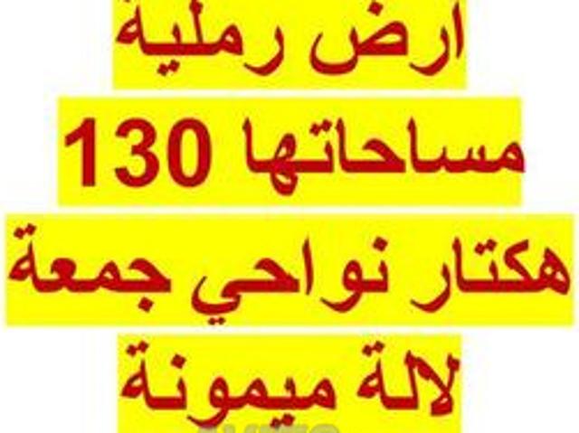 Propriété vente à Souk El Arbaâ