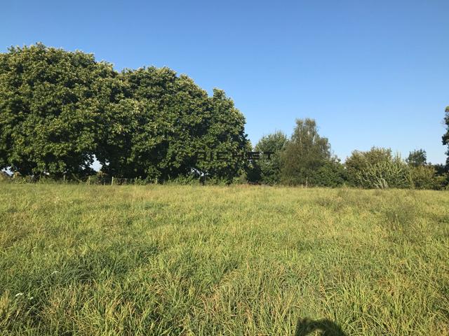 Terrain vente à Brive-la-Gaillarde, Sadroc