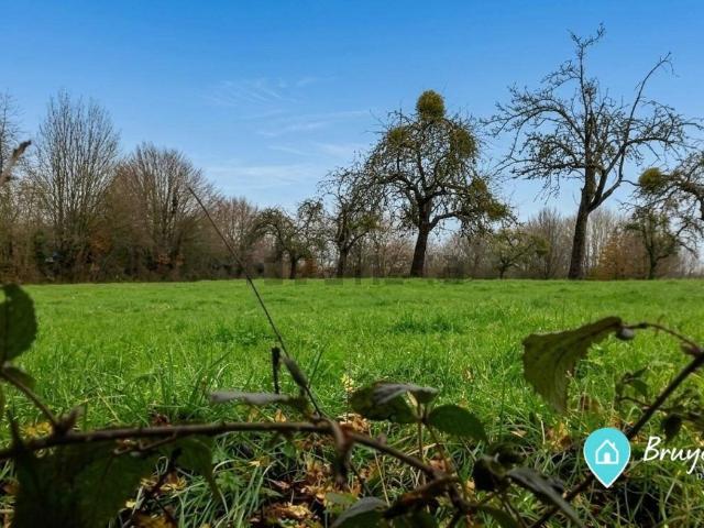 Terrain vente à Sains-du-Nord, Nord