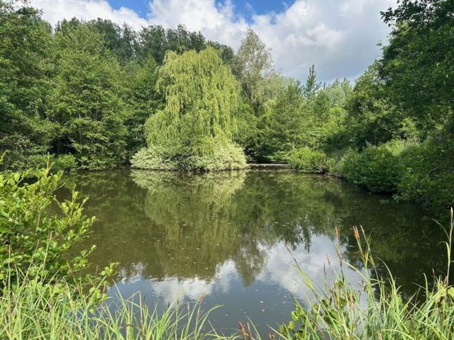 Terrain vente à Moulin des Loups, Saint-Amand-les-Eaux