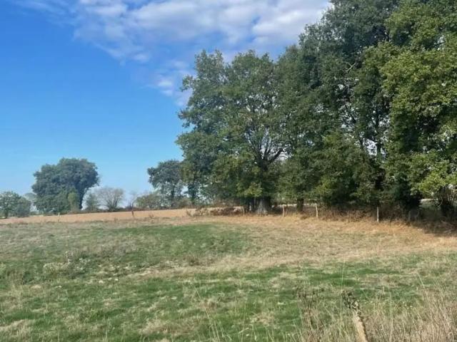 Terrain vente à Saint Baudelle, Saint-Baudelle