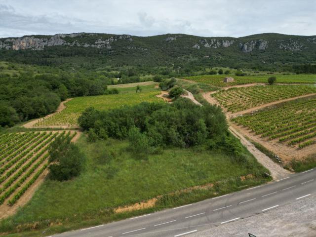 Terrain vente à Saint-Bauzille-de-Putois, Hérault