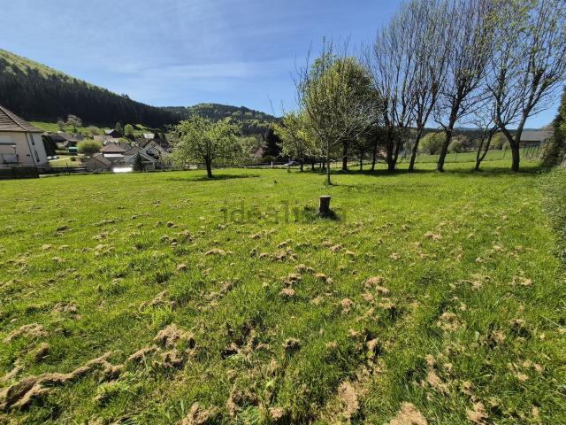 Terrain vente à Ranrupt, Collectivité européenne d'Alsace