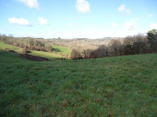 Terrain vente à Saint-Bonnet-la-Rivière, Corrèze