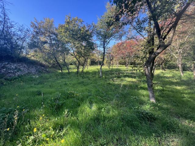 Terrain vente à Saint-Christol-de-Rodières, Gard